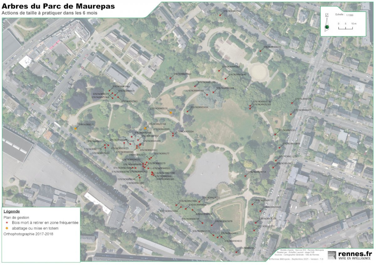 Document produit dans le cadre d'un stage à la ville de Rennes. Cartographie Qgis des actions d'élagage à effectuer en urgence