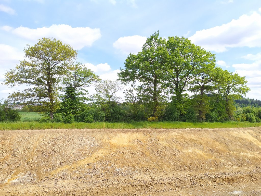 Travaux de terrassement du contournement d'une ville à proximité d'une haie bocagère