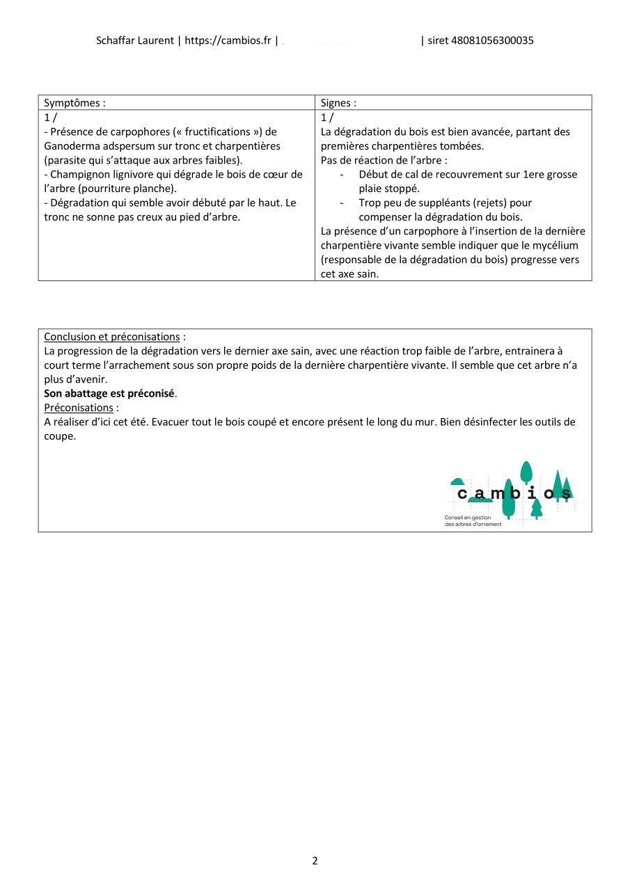 fiche de diagnostic d'un arbre - page 2 fiche de diagnostic d'un arbre - page 2