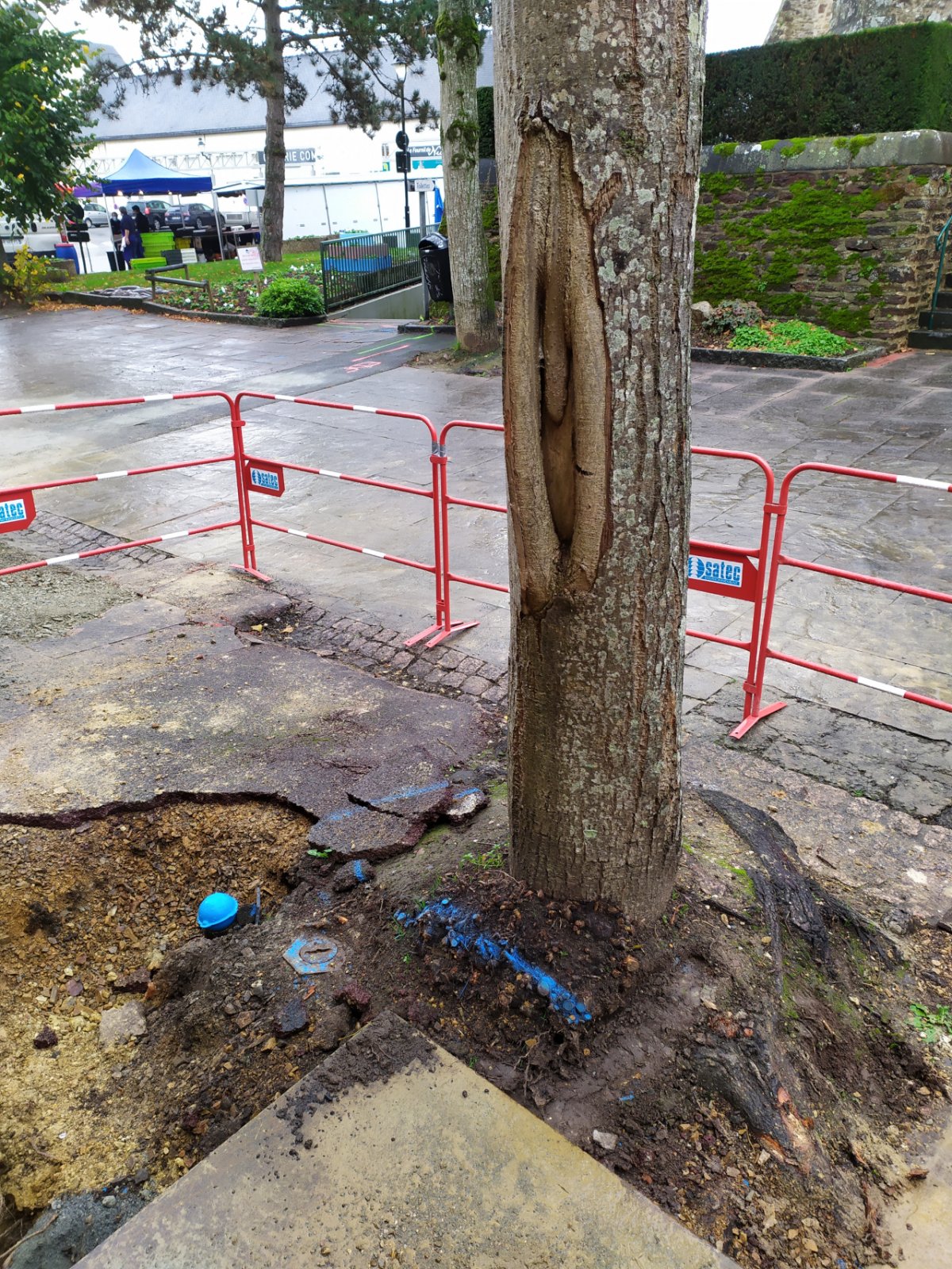 Travaux de réseaux souterrains effectués trop près de l'arbre